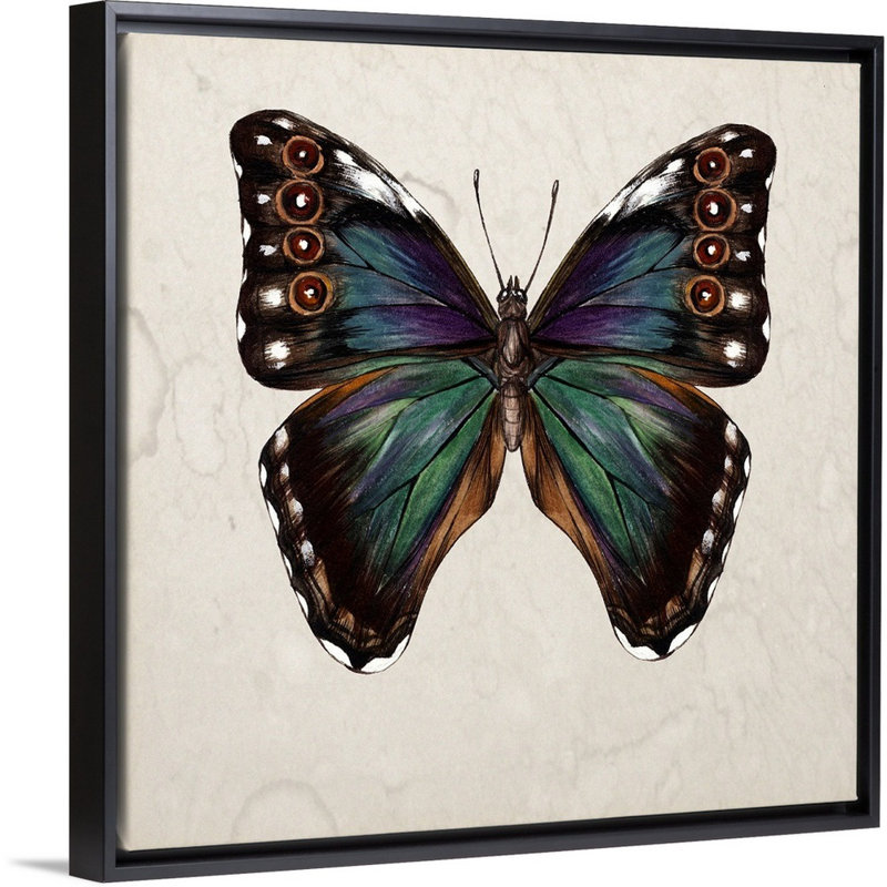 «Butterfly Study III» par Wang Melissa - reproduction d'art sur toile, H 22 po x l 22 po x P 2 po, Toile encadrée noire