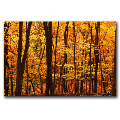 « délicieuse automne » par cateyes, reproduction de photo sur toile tendue encadrée