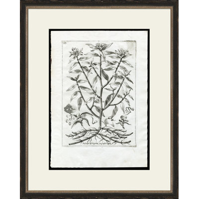 Rooted Plant II Painting