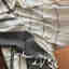 Photos des clients 2 de 2