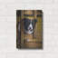 «Border Collie Exploration» par John Silver-1105613076