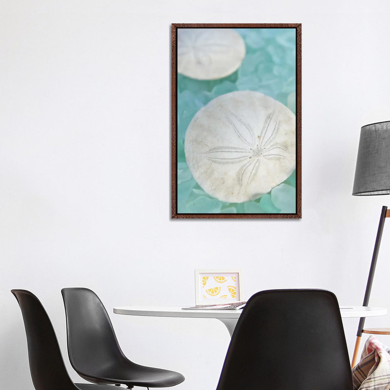 'Seaglass 3' by Alan Blaustein Graphic Art Print on Wrapped Canvas, Brown Floater Framed, 101.6 cm H x 66.04 cm W