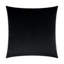 Belvedere Pillow Cover & Insert-1606705781-1594365759