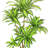 78" Artificial Dracaena Tree in Pot