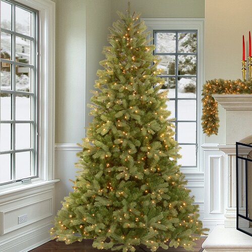 Kaye Lighted Artificial Fir Christmas Tree & Reviews | Birch Lane