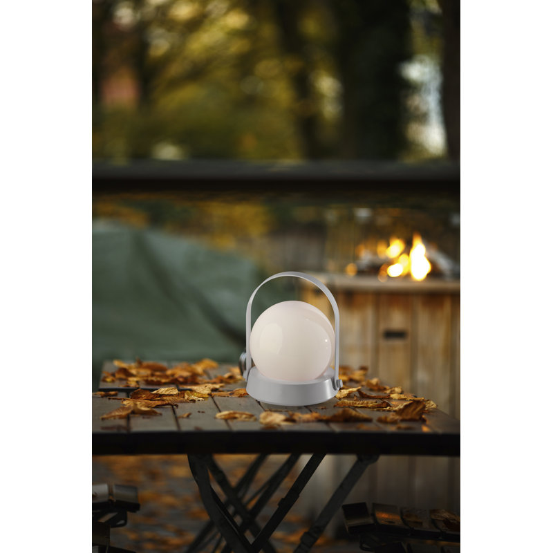 Millicent 8.25'' Battery Powered Integrated LED Color Changing Outdoor Lantern, White