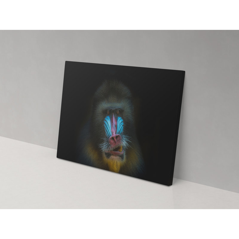 Angry Baboon - Wrapped Canvas Print, 82cm H x 123cm W x 4cm D