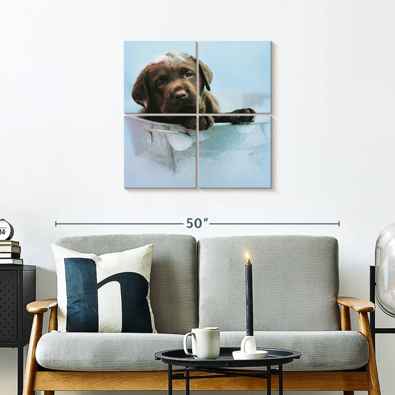 Brampt Beau The Dog