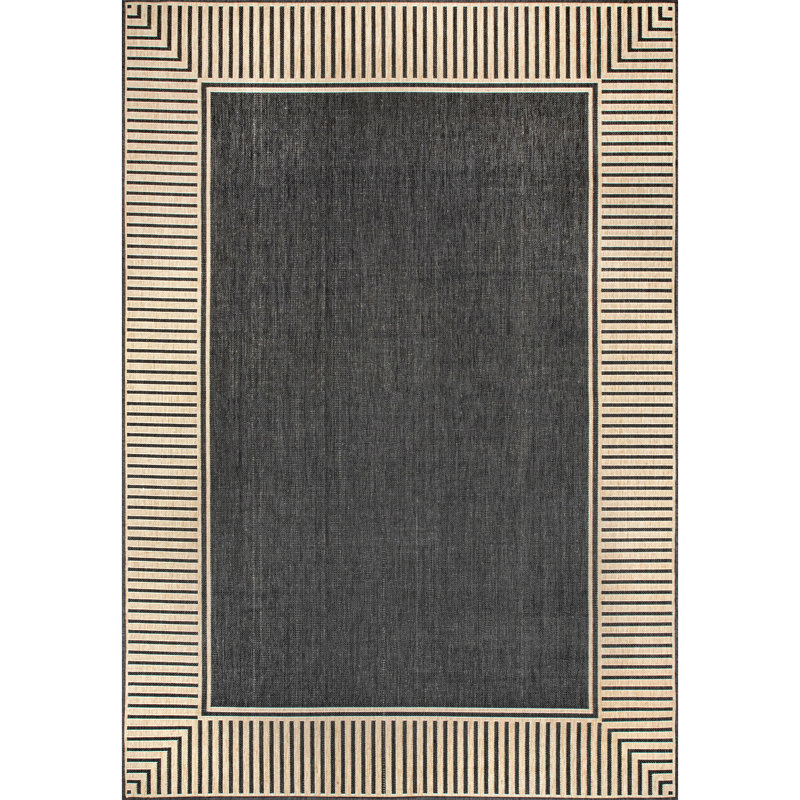 Alegre Bordered Indoor/Outdoor Rug, Rectangle 3'6" x 5', Dark Gray
