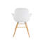 Fauteuil Albert Kuip-49384725