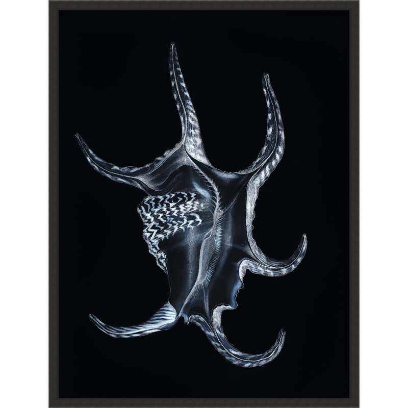 Tidal Blues 3 Print by Art House Studios, 24" H x 18" W x 1" D