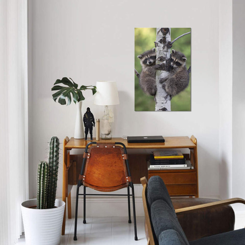 « raton laveur two, l’arbre d’escalade, amérique du nord ii », reproduction de photo sur toile, H 12 po x l 8 po x P 0,75 po