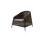 Kingston Armchair with Cushion-55841002-55841004