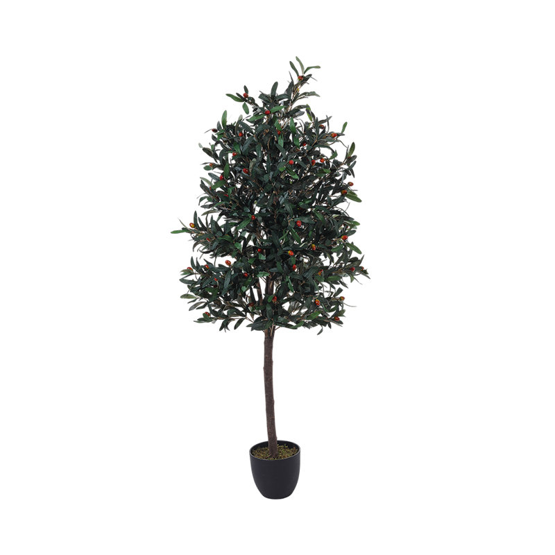 190cm Plant