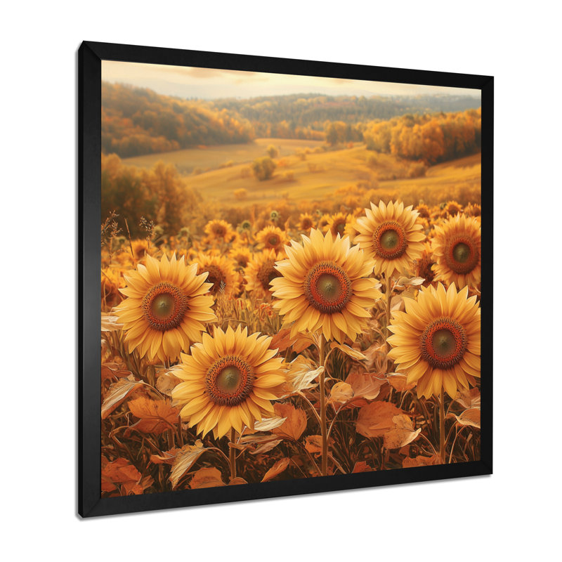 Drianna Country Side Sunflowers In Fall II - tournesols, art mural, Reproduction encadrée d'une seule photo