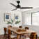 Modern 48" Ceiling Fan with Light and 3 Blades