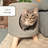 Wallie Pet Stool, Tan-117565000