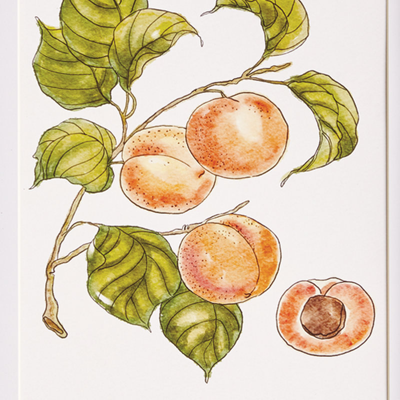 IMPRIMES AUTOMATIQUES DE FRUITS, ENSEMBLE DE 4