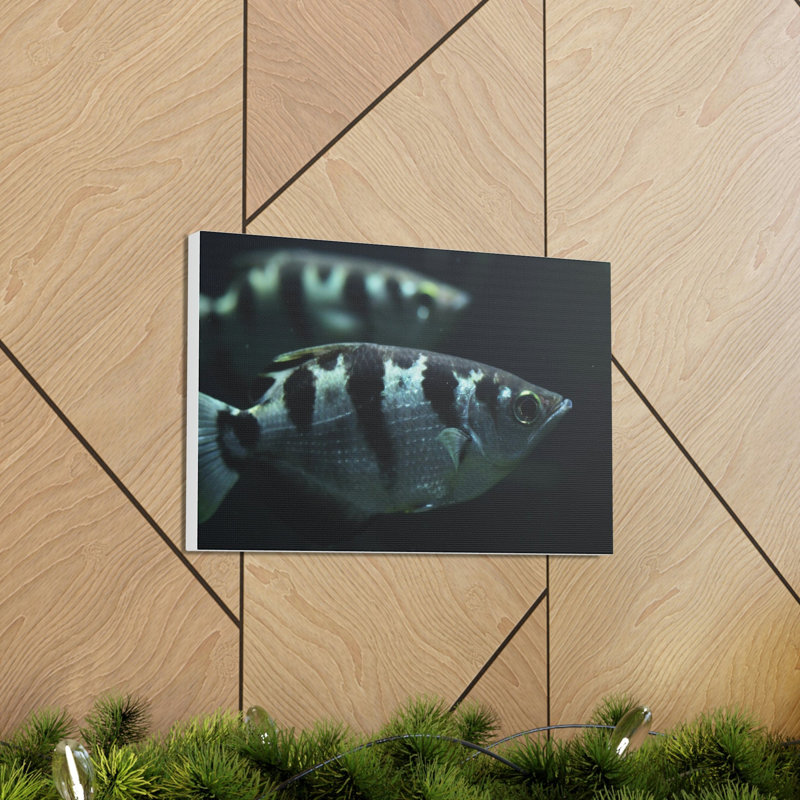 Archer, art animalier sous la mer, H 12 po x l 18 po