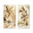 Toile tendue