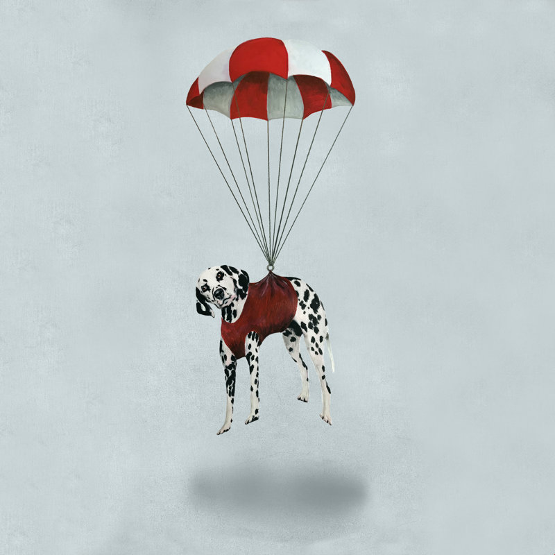 " Flying Dalmatian ", No, 12" H x 12" W x 1.25" D, Black Floater Framed