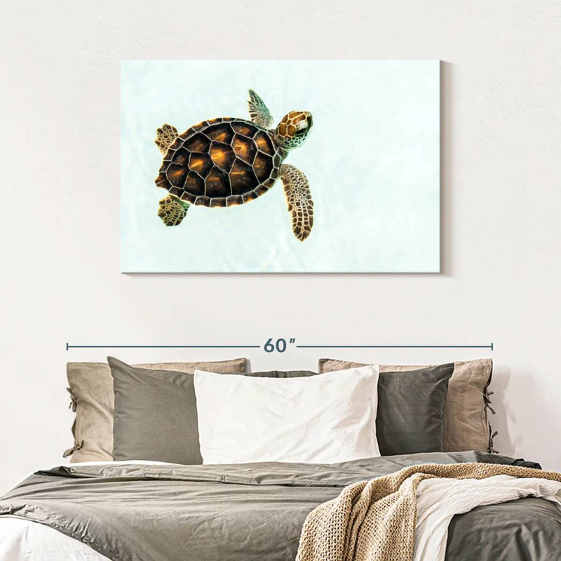 Bébé tortue Brampt, H 30 po x l 45 po