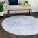 Layne Chenille Oriental Indoor Rug