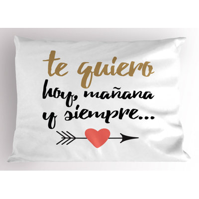 Taie décorative Spanish