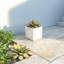 Boîte à fleurs en argile Crissman-1598945877-1598945879
