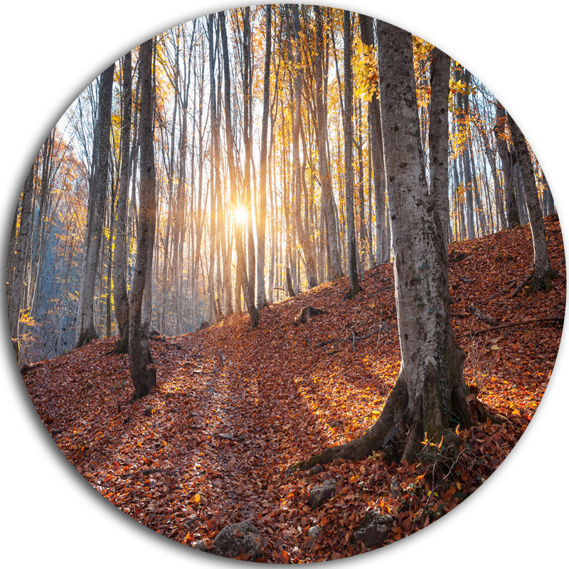 «Crimean Mountains Autumn Trees», reproduction de photo sur métal, H 38 po x l 38 po x P 1 po