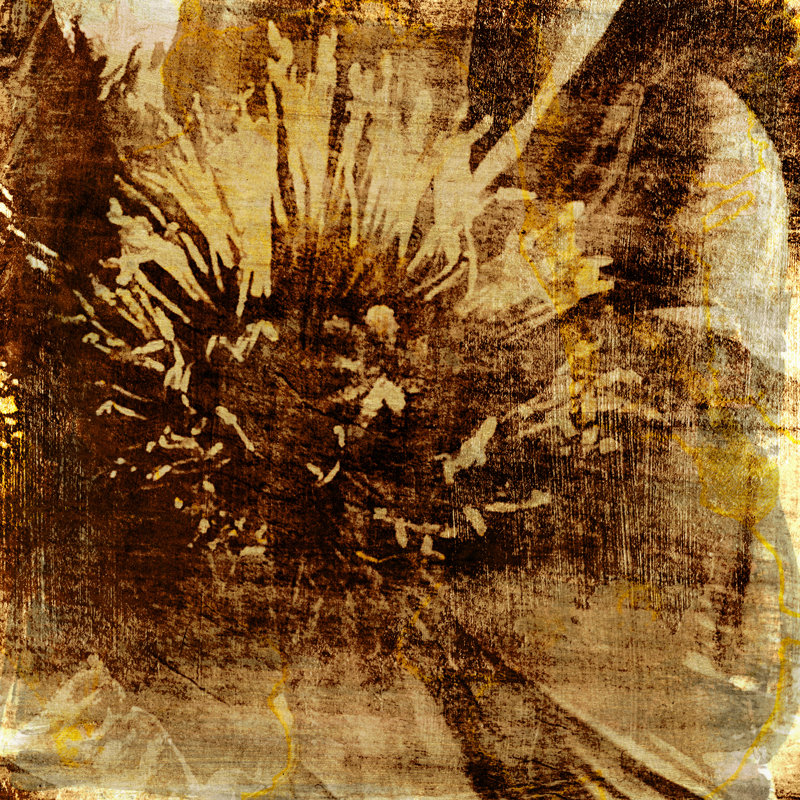 Poppy Gold IV by Sia Aryai - Wrapped Canvas Painting, 76cm H x 76cm W