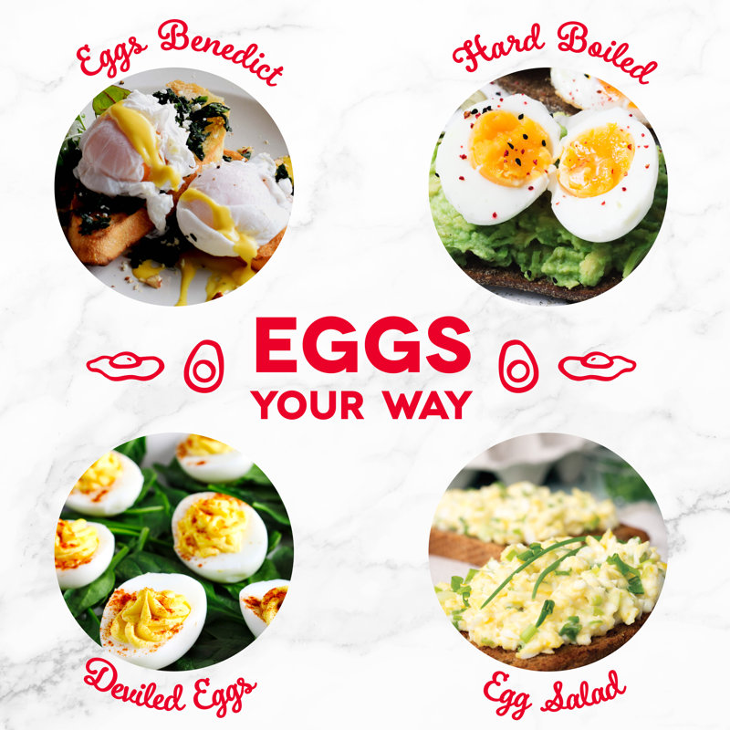 Dash Deluxe Egg Cooker, Aqua