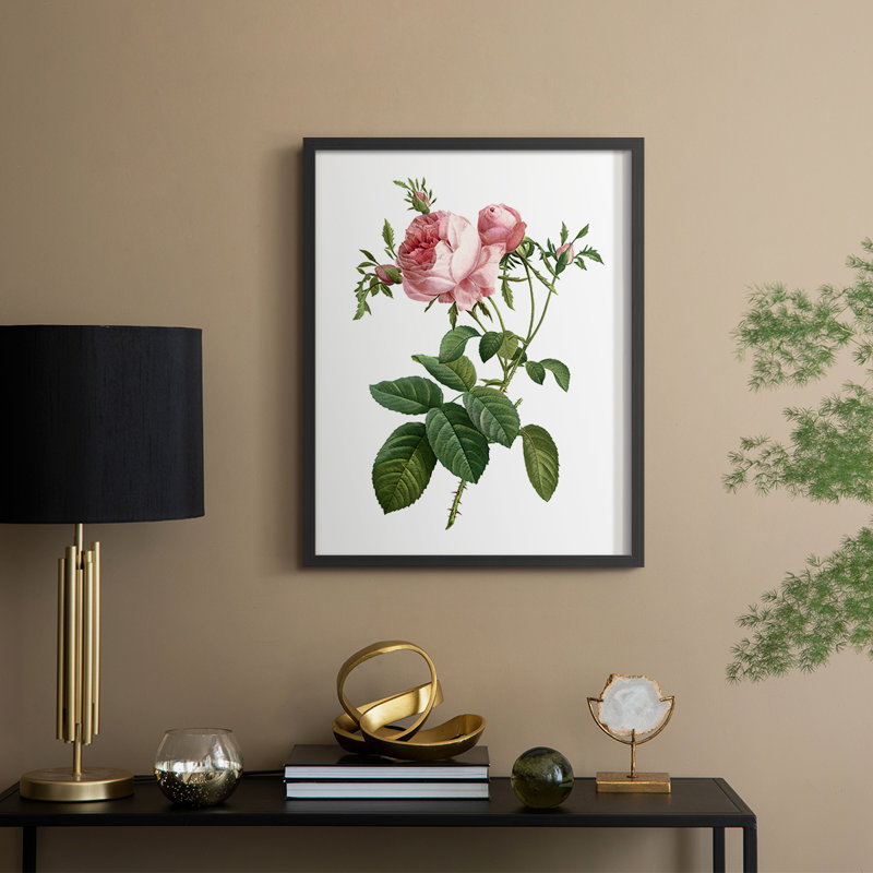 «Botanical Beauty IV», reproduction encadrée - bois massif, Noir, noir, noir, noir, H 11 po x l 9 po