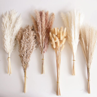 Pampa Arrangement