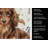 Longhaired Chocolate and Tan Dachshund Coffee Bar Kitchen Towel-1168063413