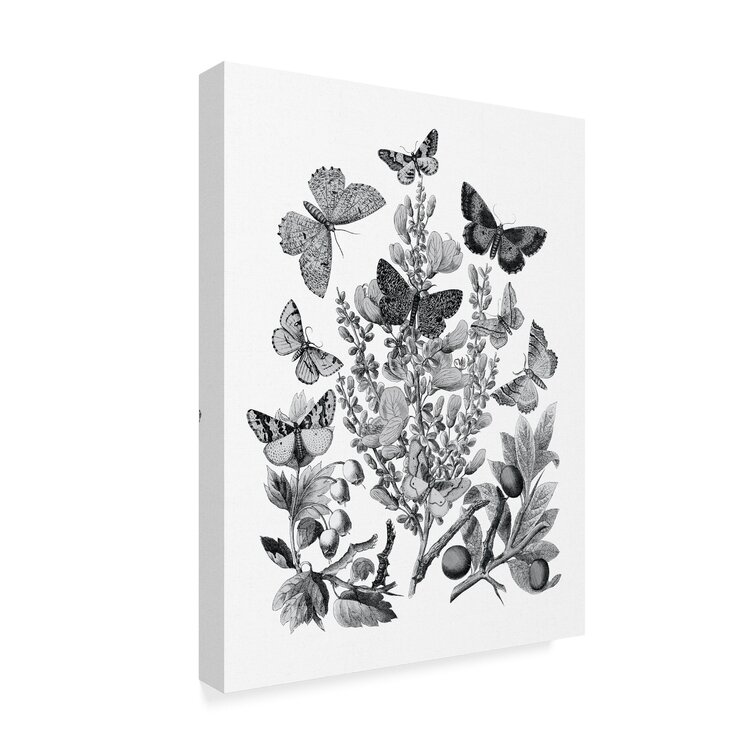 Butterfly Bouquet – laboutique