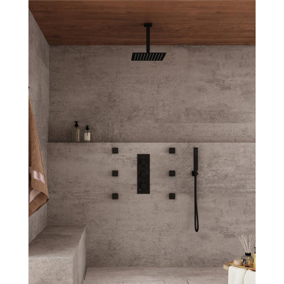 Herathena 3 Functions Ceiling Mounted Thermostatic Shower System with 6 Body Jets