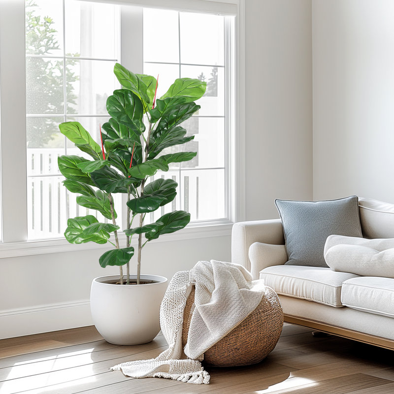99cm Plant