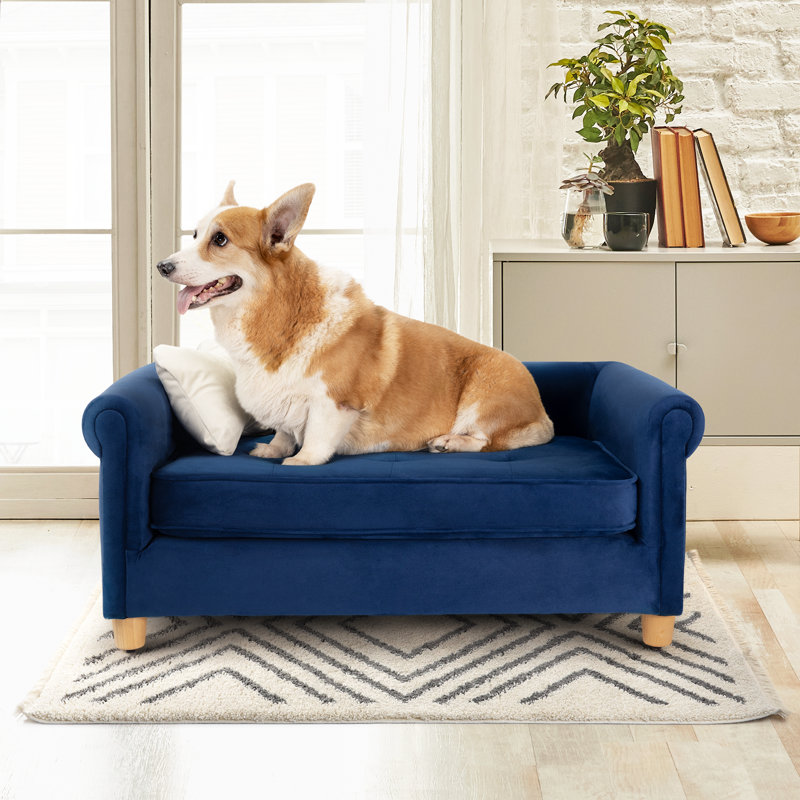 Lit pour animaux Tucker Murphy Pet ™ Dinel, Bleu marine