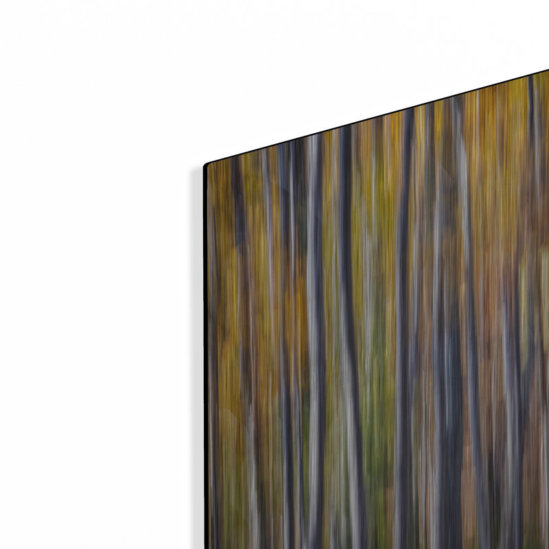 «Autumn Birches Abstract» par Rick Berk, H 12 po x l 16 po