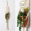 Pot de fleurs suspendu