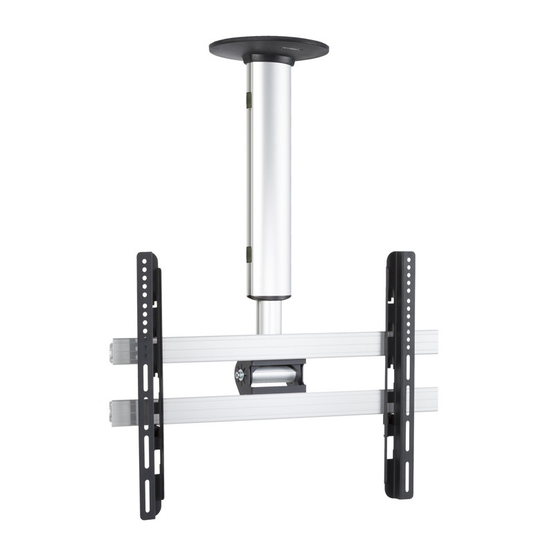 Symple Stuff Single Screen Ceiling Mount