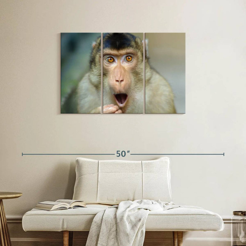 Brampt singe I, H 24 po x l 38 po