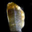 Cristal d'apatite. Mondo, Tanzanie
