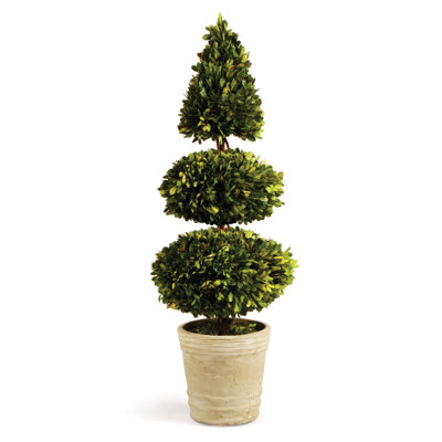 Pot de fleurs rond en forme de cône double boxwoods préservé