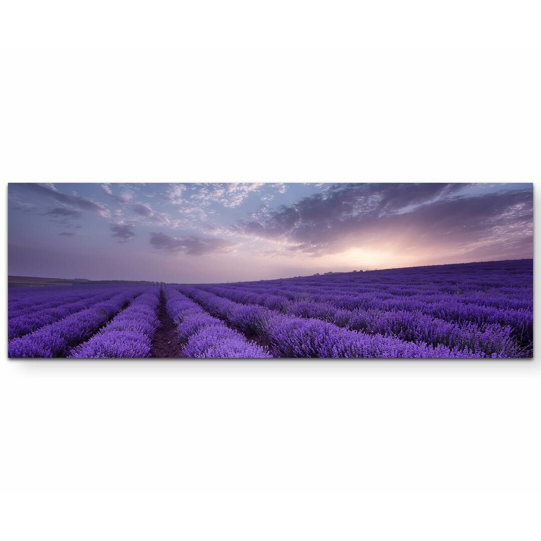 Leinwandbild Lavendel Feld