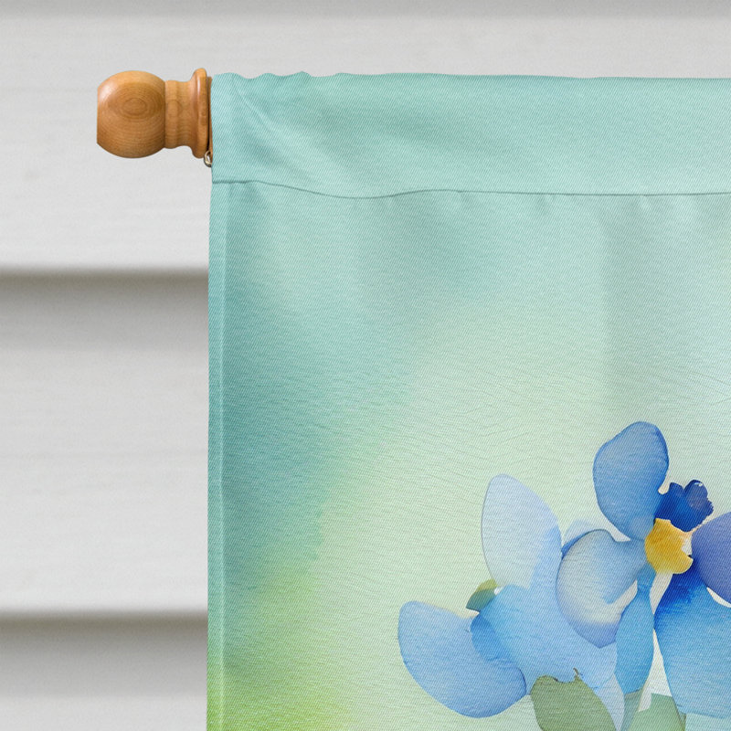 Drapeau de maison en polyester à double face H 40 po x l 28 po