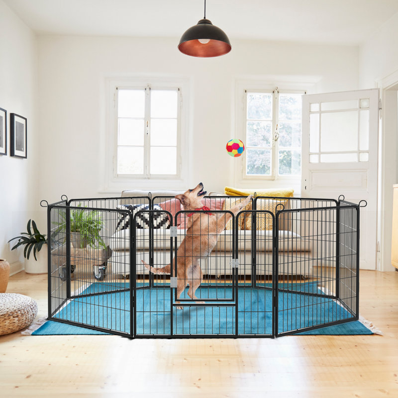 Enclos pour chien robuste, H 32 po