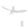 Ryna Smart Ceiling Fan with Remote, Light Kit Included,Works with Google Assistant and Amazon Alexa,Siri Shortcut.