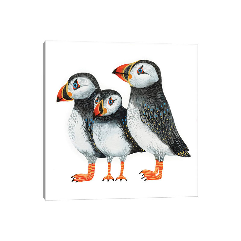 Puffins by Lesia Binkin - Wrapped Canvas Print, 45.72 cm H x 45.72 cm W